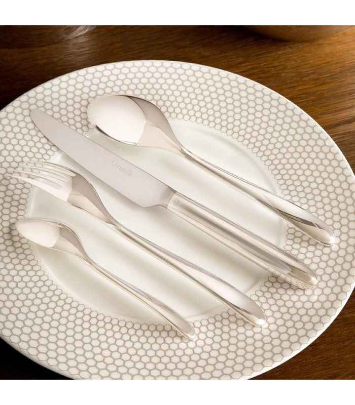 https://www.fionasatelier.com/shop/436-large_default/mood-24-piece-silverplated-cutlery-set-in-egg-case-by-christofle.jpg